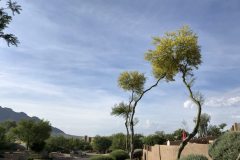 Cañada Hills Estates