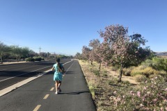 Mira Vista along La Cañada