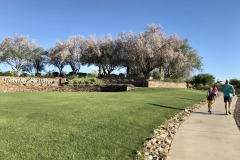 Rancho Vistoso