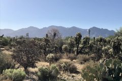 Sunset Canyon