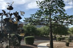 Desert Springs Gracious Retirement Living