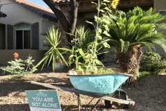 La Terraza