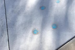 Worldmark Rancho Vistoso