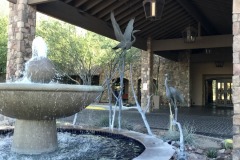 Splendido at Rancho Vistoso