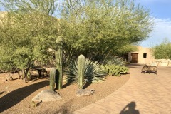 Honeybee Ridge