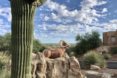 La Reserve