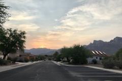 Desert Greens