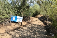 Logan's Crossing