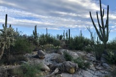 Stone Canyon