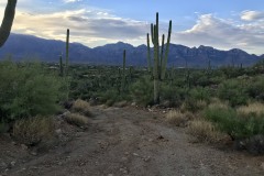 Stone Canyon