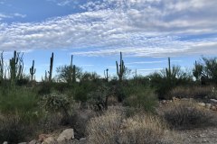 Stone Canyon