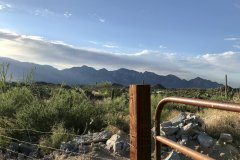 Stone Canyon
