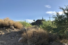 Stone Canyon