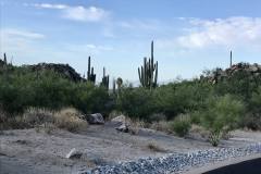 Stone Canyon
