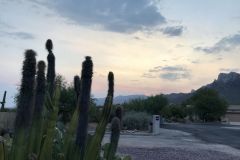 Pusch Ridge Vistas