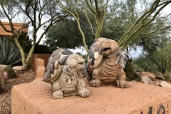 Pusch Ridge Vistas