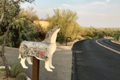 Oro Valley Heights