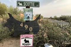 Near Linda Vista Blvd