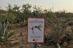 La Cholla Airpark