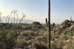Stone Canyon