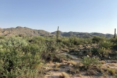 Stone Canyon