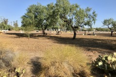 Campo Bello Estates