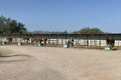 Campo Bello Estates