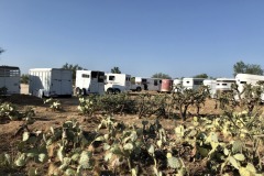 Campo Bello Estates