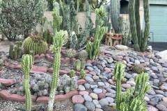 Rancho Catalina